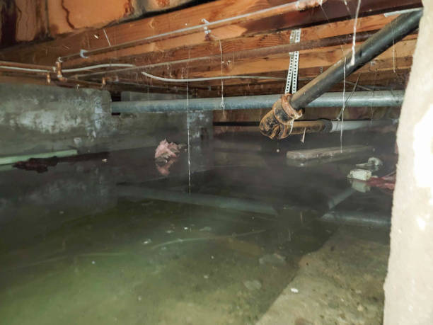 Best Flooded house restoration  in Beverly, OH