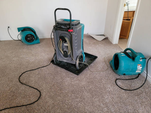 Best Water damage cleanup near me  in Beverly, OH