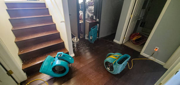 Best Residential water damage restoration  in Beverly, OH