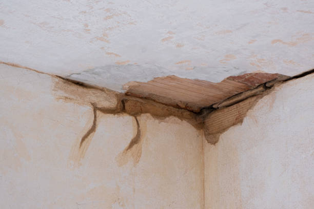 Best Flood damage cleanup  in Beverly, OH
