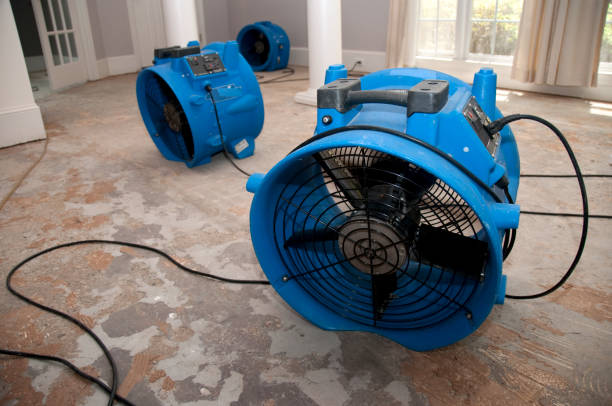 Best Water damage restoration near me  in Beverly, OH