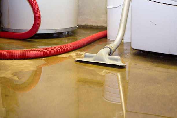 Best Local water damage restoration  in Beverly, OH