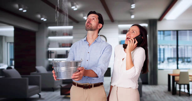Best Local water damage restoration  in Beverly, OH