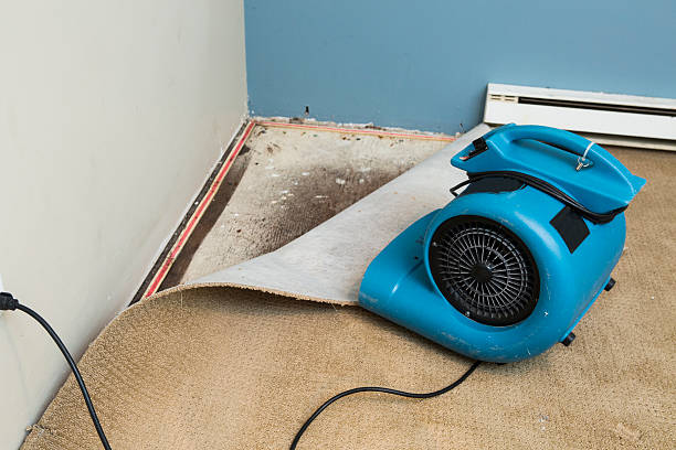 Reliable Beverly, OH Water damage restoration Solutions